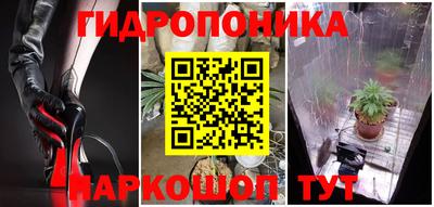 прущие крисы Комсомольск-на-Амуре
