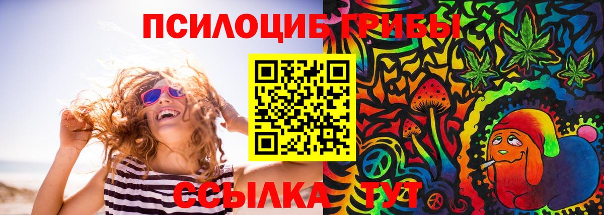 Балашов  Галлюциногенные грибы Psilocybe  Вход с VPN 
